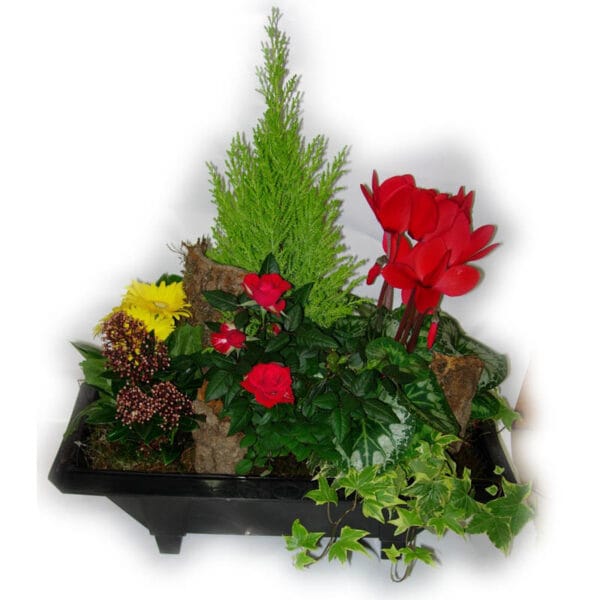 Coupe Jardin Miniature