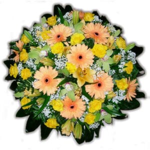 Coussin rond Rayon de Souvenir