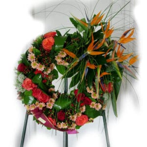 Couronne Strelitzia