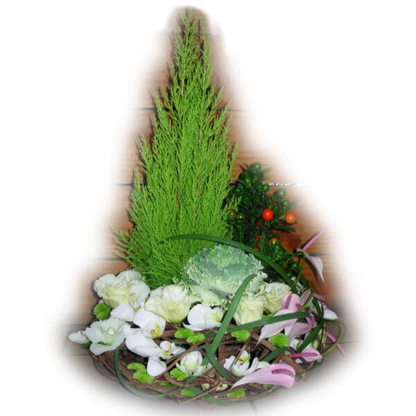 Couronne Naturelle