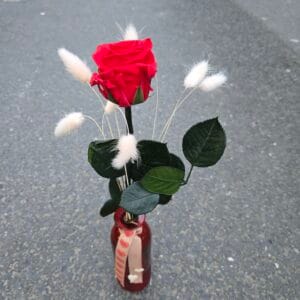 Rose Eternelle rouge