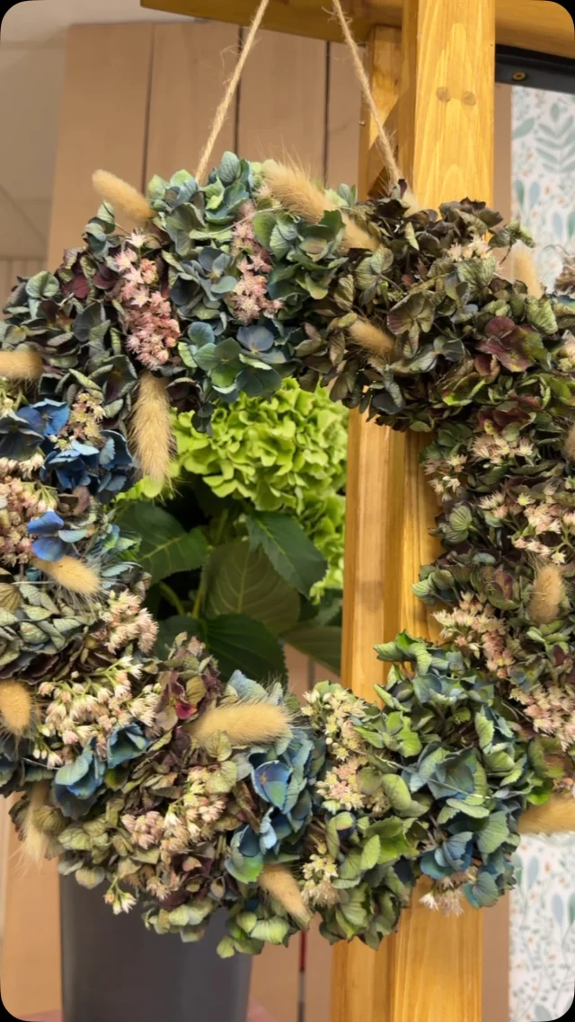 🌸💜 Ça se prépare Aux Sabots Fleuris !

On installe, on prépare… l’espace dédié à l’hortensia prend forme ! 🌿✨

📅 Rendez-vous samedi 26 septembre pour notre inauguration et notre journée spéciale hortensia.

On vous attend ! 💐