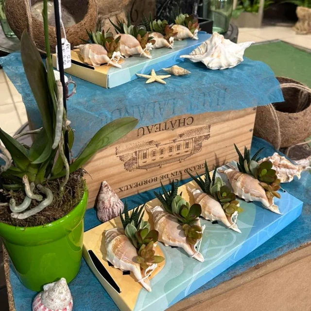 🌊🐚 Un souffle d’été s’invite Aux Sabots Fleuris…

Des coquillages, une touche de fraîcheur, un parfum de vacances… Comme une escapade entre plage, sable fin et douceur estivale. ☀️

Parce que l’originalité se trouve aussi dans les détails, laissez-vous inspirer par notre univers fleuri aux accents de bord de mer. 🌸🤍