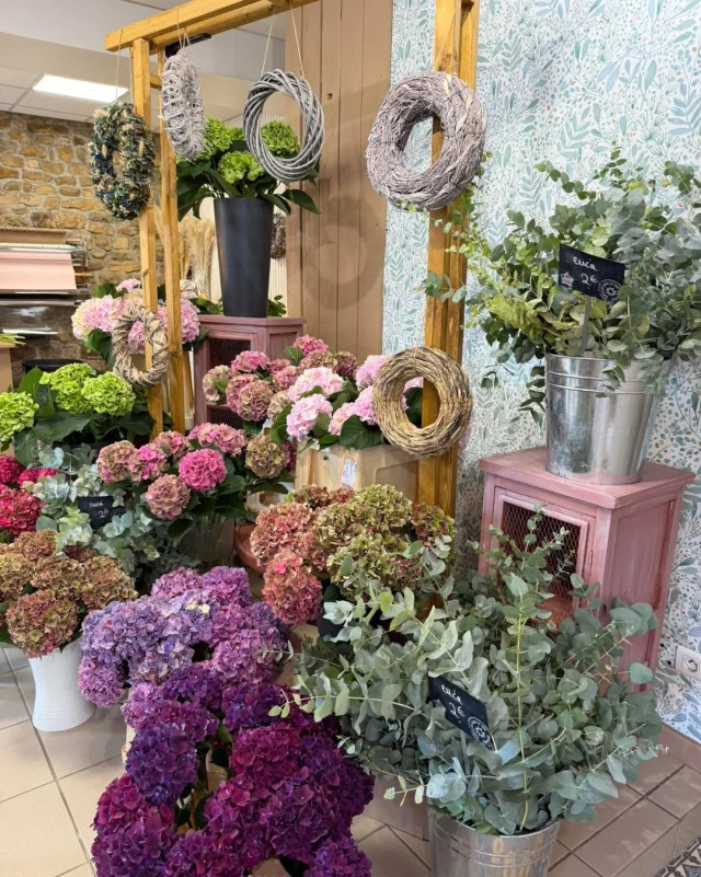 💜🌸 L’espace hortensia est prêt ! 🌸💜

Des couleurs, des fleurs et une belle dose de douceur vous attendent dès aujourd’hui Aux Sabots Fleuris ! 💐✨

Et demain… place à l’inauguration et à notre animation spéciale hortensia ! 🫶🏼

Venez découvrir notre nouvel univers, échanger avec nous et profiter de nos conseils autour de cette magnifique fleur. 🌿

📍 20 rue Saint-Louis – Charleville-Mézières
⏰ Dès demain 10.00

On vous attend ! 💜