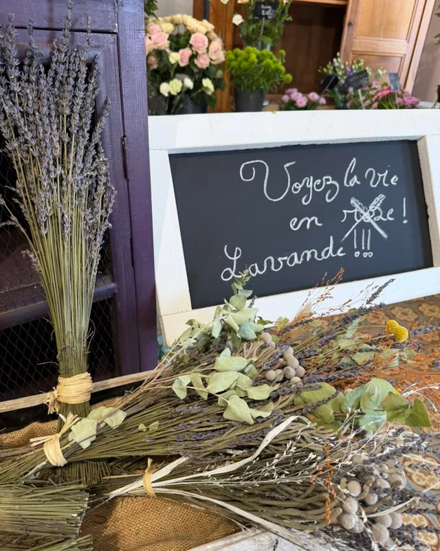 💜 Voyez la vie en lavande… 💜

Laissez-vous séduire par son parfum délicat, ses nuances apaisantes et son charme intemporel. 🌿

Symbole de douceur et d’évasion, la lavande apporte une touche de Provence à votre jardin, votre terrasse… ou à votre quotidien.

✨ À découvrir dès maintenant Aux Sabots Fleuris.

📍 20 rue Saint-Louis à Charleville-Mézières.