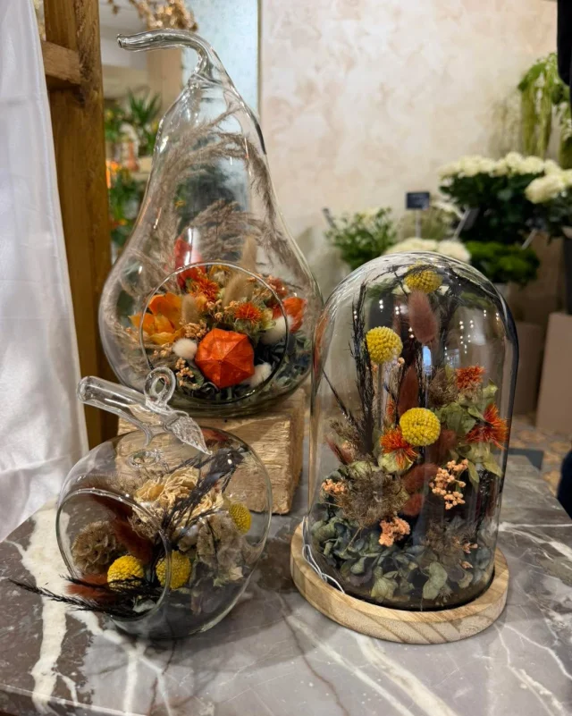 🍂🌿 Les couleurs de l’automne s’invitent Aux Sabots Fleuris ! 🧡
Des teintes chaleureuses, des fleurs séchées, des compositions originales et cette petite touche automnale qui réchauffe les intérieurs. 🍁✨

Laissez-vous séduire par notre univers de saison et venez découvrir nos créations en boutique. 🤎
📍 20 rue Saint-Louis, Charleville-Mézières